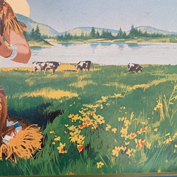 1950's Land O' Lakes Sweet Cream Butter Serving Tray ORIGINAL - Picture 13 of 16